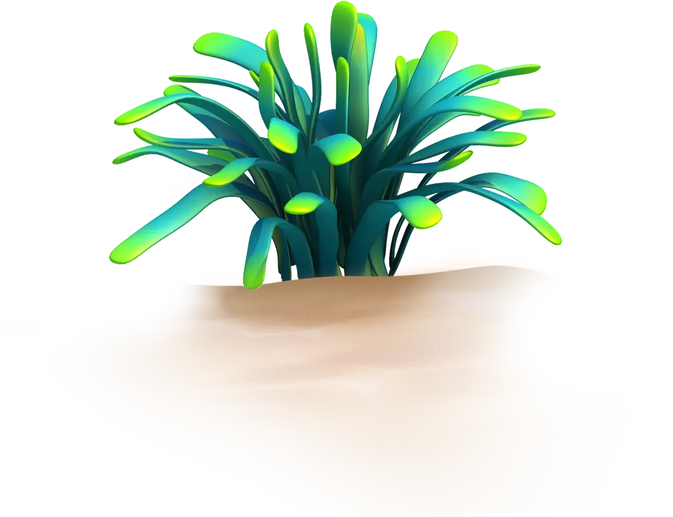 Alga